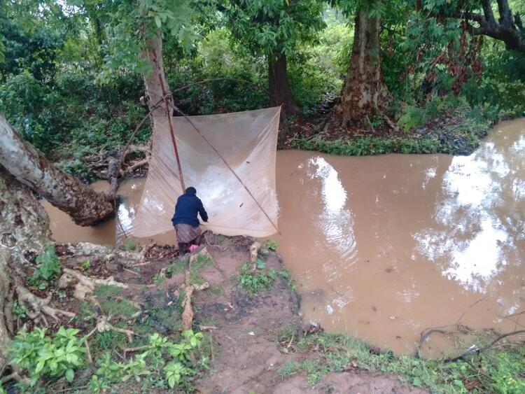 मीनूल चुमरानो